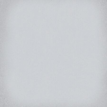 Gresie 1900 Gris 20×20