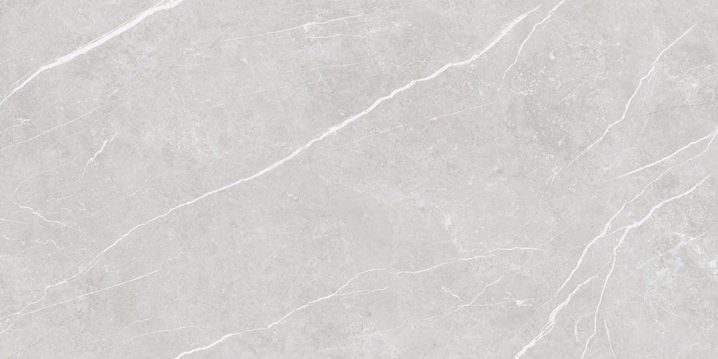 60X120 TU.ELITE SILVER