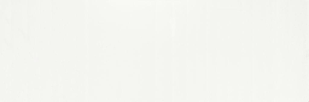 ALL WHITE MATT RECT. 30X90