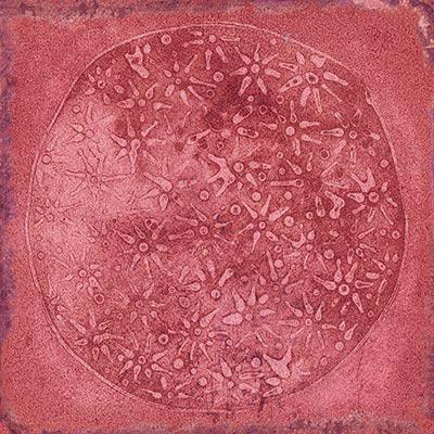 CARLO GRANATE-B   20X20