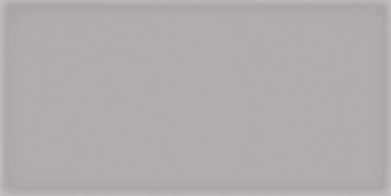 CORSO GRIS   10X20