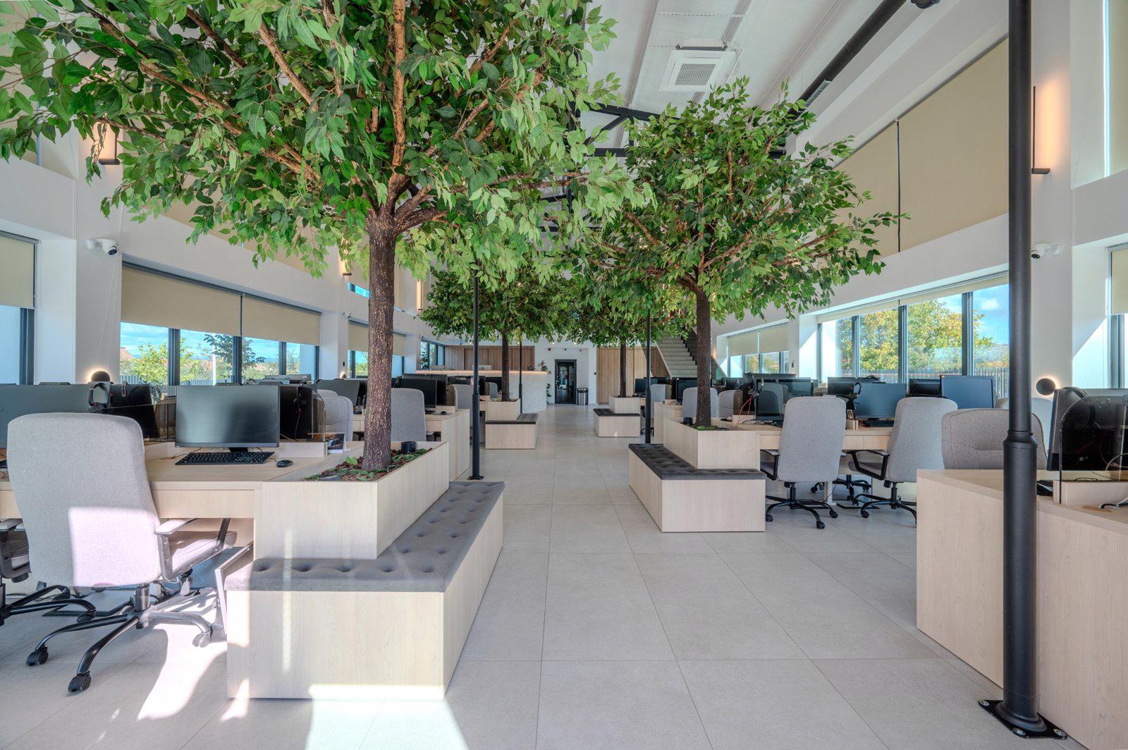 Doza de sanatate - Sebes