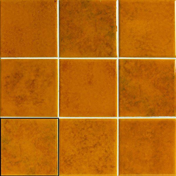 GENUINE AMBER 10X10