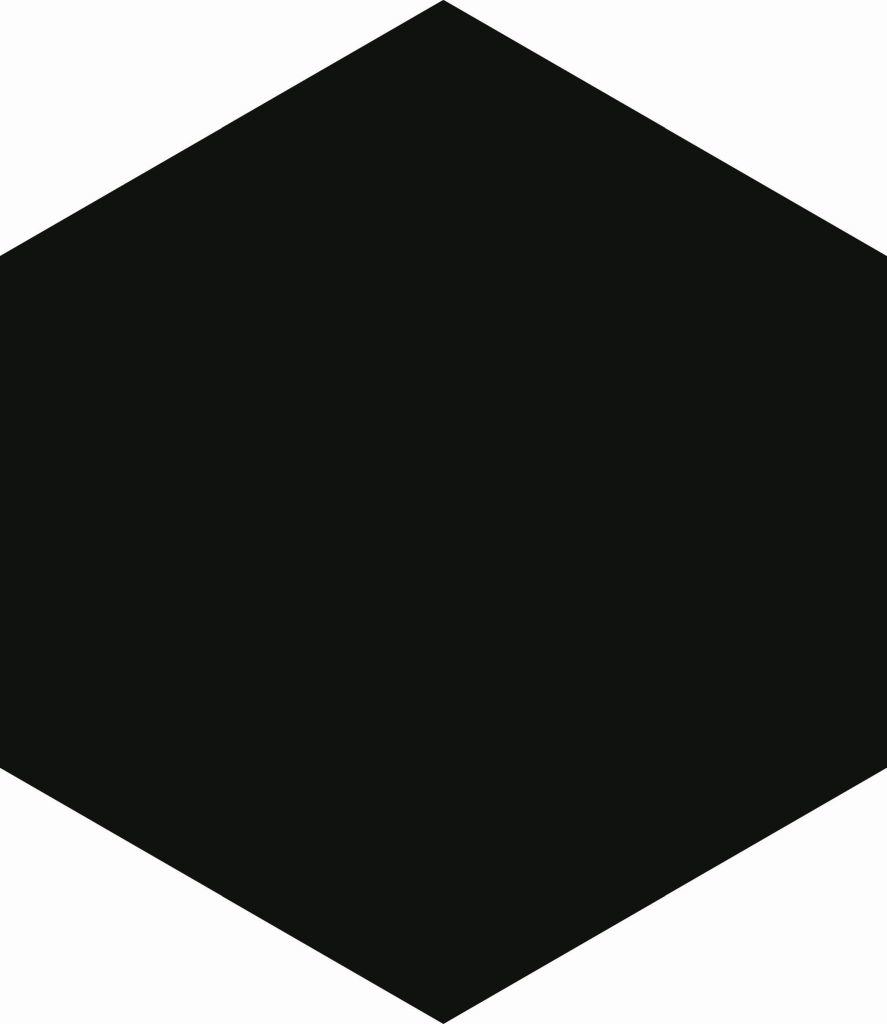 HEXAGON BLACK 17,5X20,2