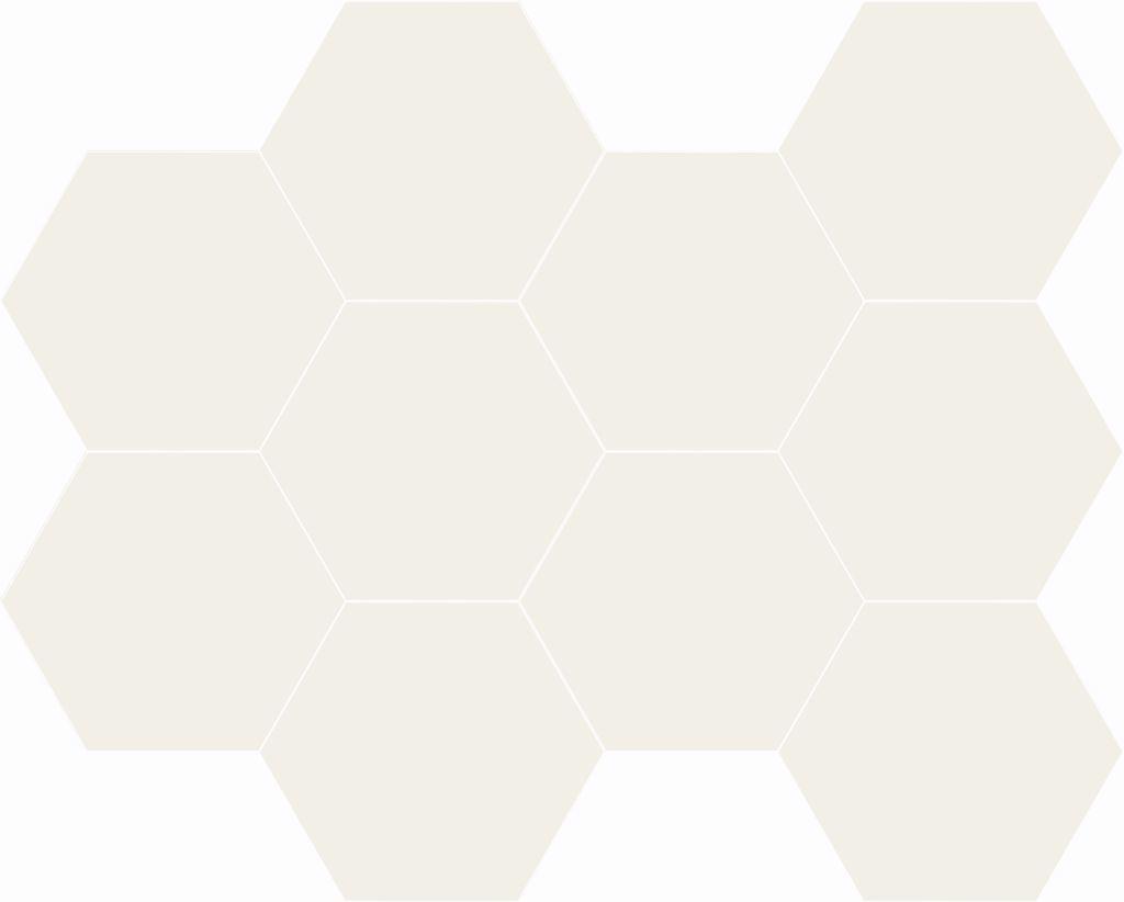 HEXAGON NICE WHITE 23X26