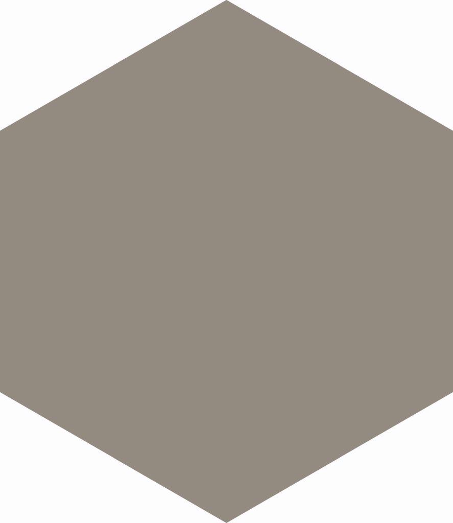 HEXAGON SLATEGREY 17,5X20,2