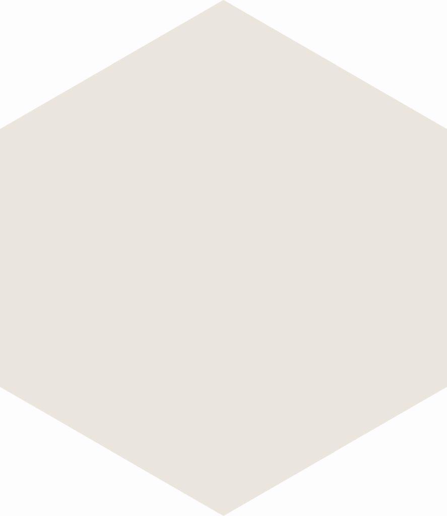 HEXAGON WHITE 17,5X20,2