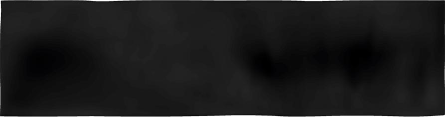 JAVEA AB|C NEGRO    8X31,5