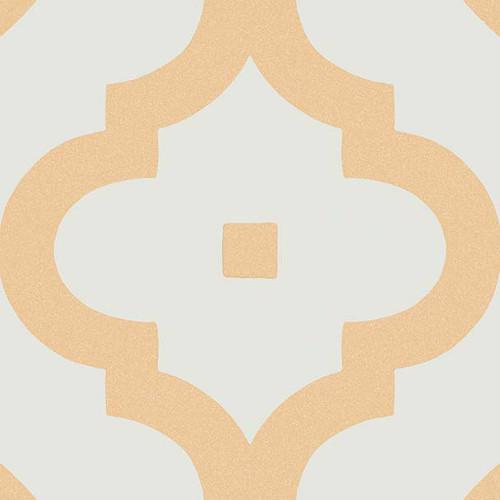 LADAKHI OCRE   20X20