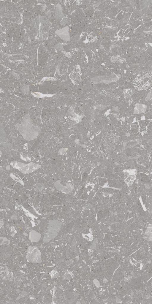 LUNA-R GRIS   60X120