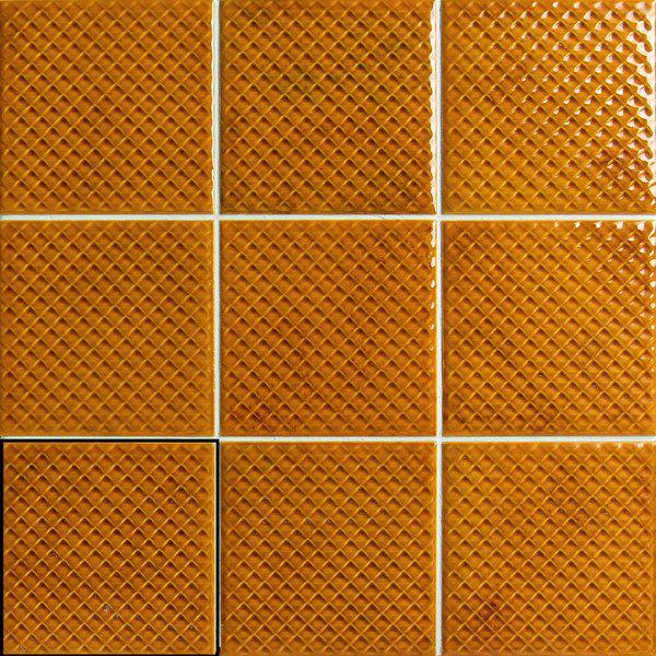 MIMOSA AMBER 10X10