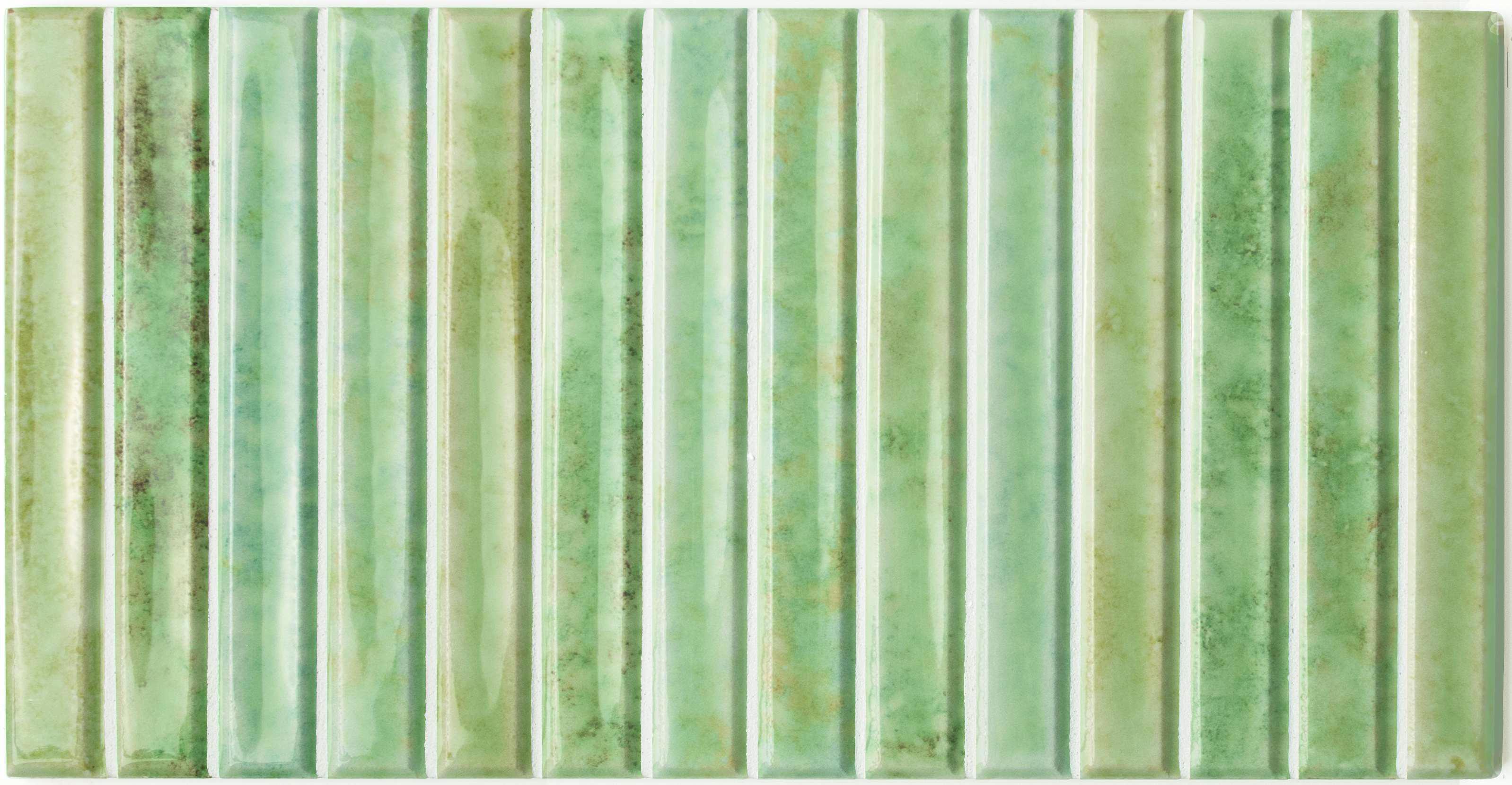 POTTERS BARS AGAVE