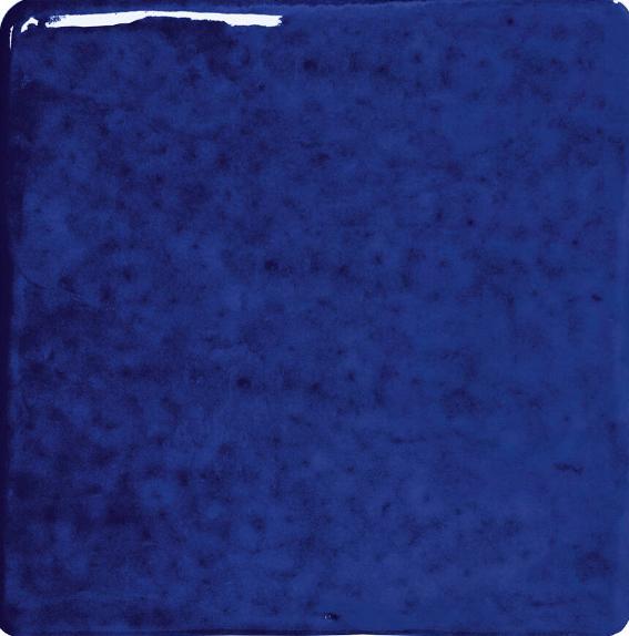ROOTS S INDIGO GLOSS