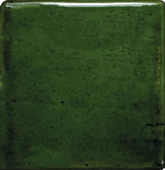 ROOTS S OLIVE GLOSS