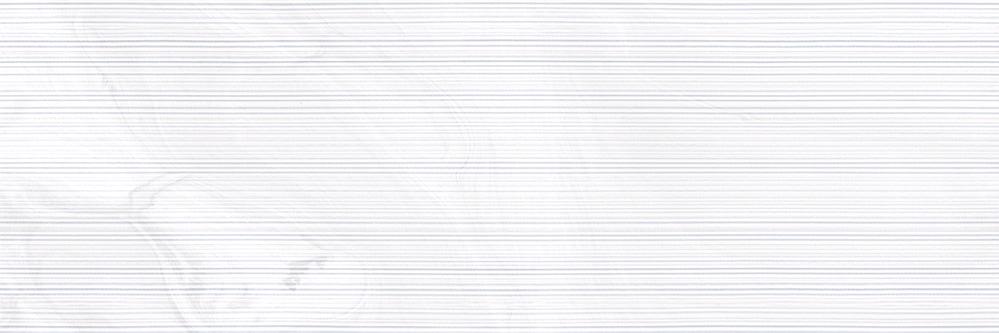 ROSES BLANCO   25X75