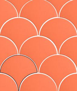 SCALE MAMBO ORANGE 11X11,4