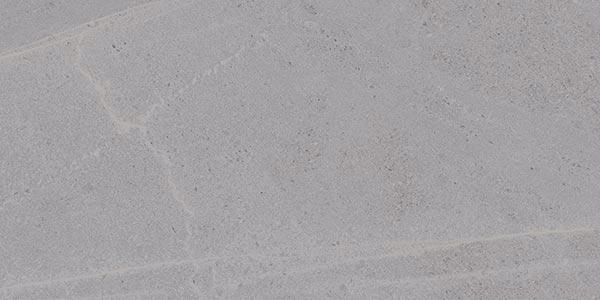 SEINE GRIS   30X60