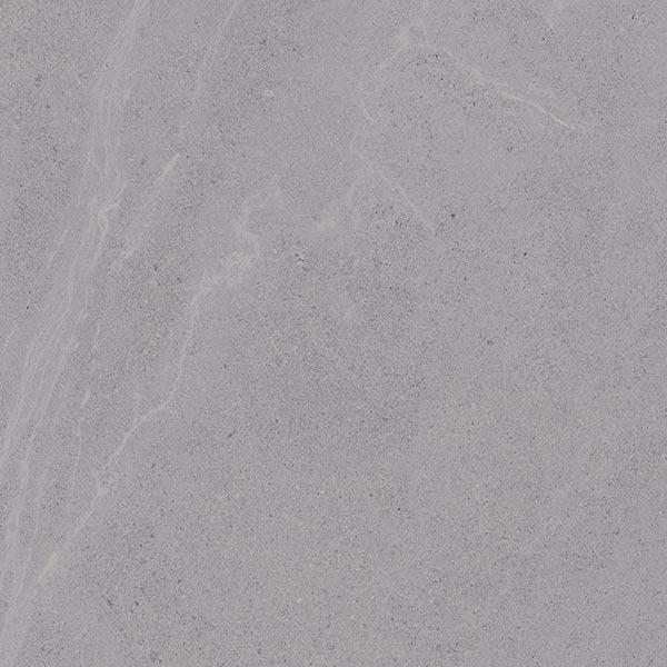 SEINE GRIS   60X60