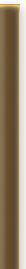 STICK WAIKIKI MARRON-B