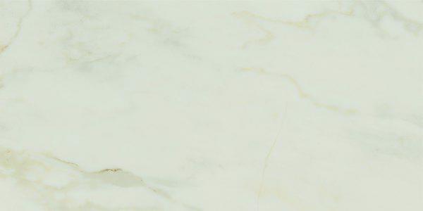 SUPREME MARBLE MATT RECT 60X120 2
