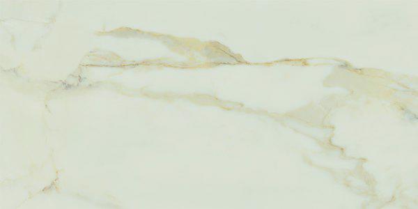 SUPREME MARBLE MATT RECT 60X120