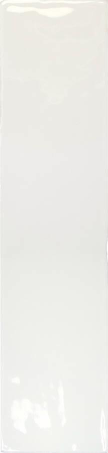 TERRE WHITE GLOSS