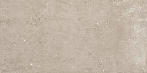 THINK TAUPE RECT 30X60