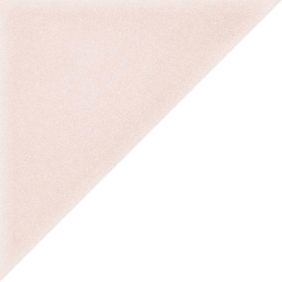 TRE ROSA   20X20