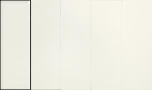 WHITE MATT 10X30